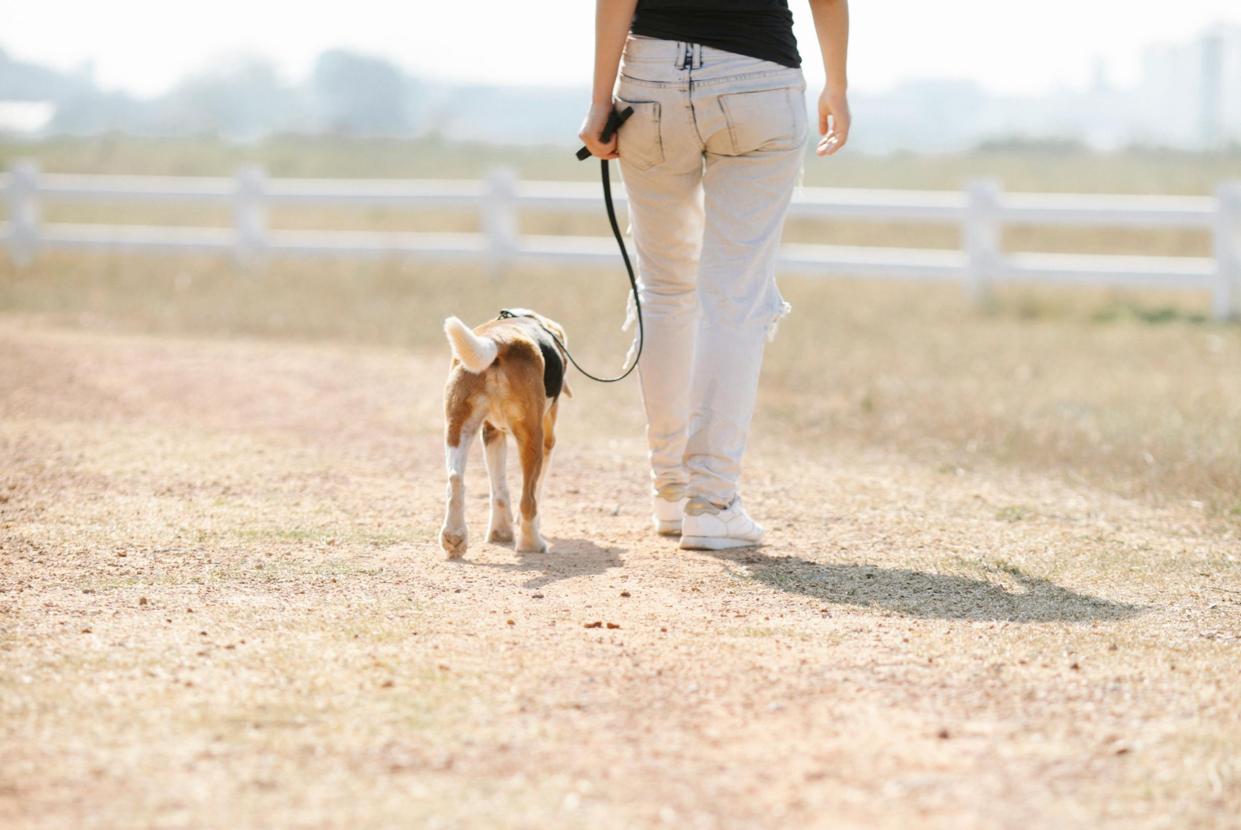 Como fazer a desinfecção em Pet Place em condominios no Rio Grande do Sul